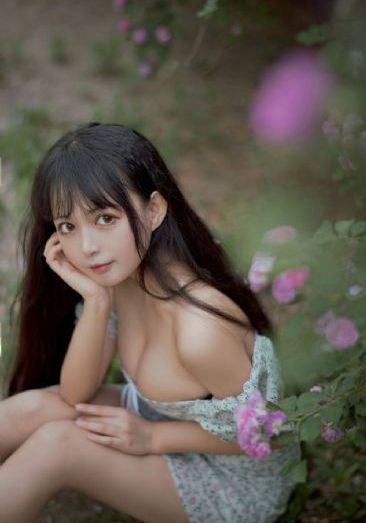 剑来动漫在线观看_1080免费在线观看
