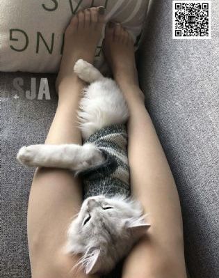 韩剧《海盗》在线观看_BD国语免费高清观看