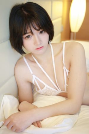 十二生肖2 电影_1080P免费观看视频