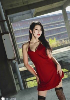 电视剧真心英雄在线观看_DVD免费播放